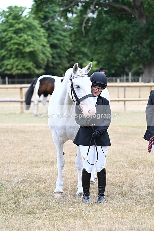 WJ7_9201 - Class 4a Prettiest Mare 14.2hh and over