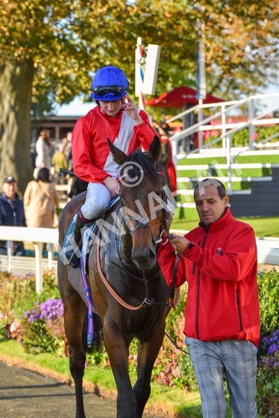 141023-Race 7-Star Ahoy-1734 - Race 7 4.45pm Coral 'Committed To Safer Gambling' Finale Handicap