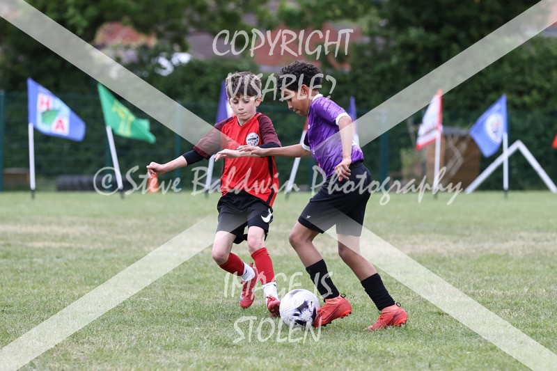 1DX31110 - Brook Field V Goddard Park