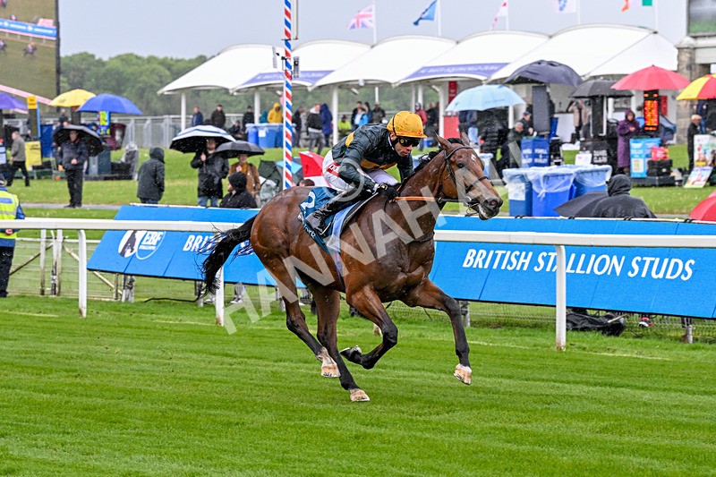 130526-Race 1-Cut A Dash-1981 - Race 1 1.45pm British Stallion Studs EBF Novice Stakes