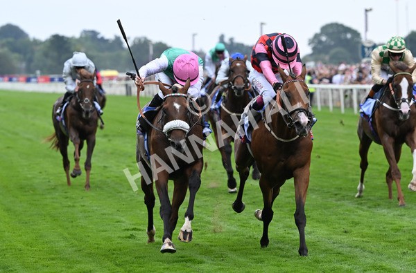 230825-039 Tarriance - Race 2 2.25pm Sky Bet Melrose Handicap