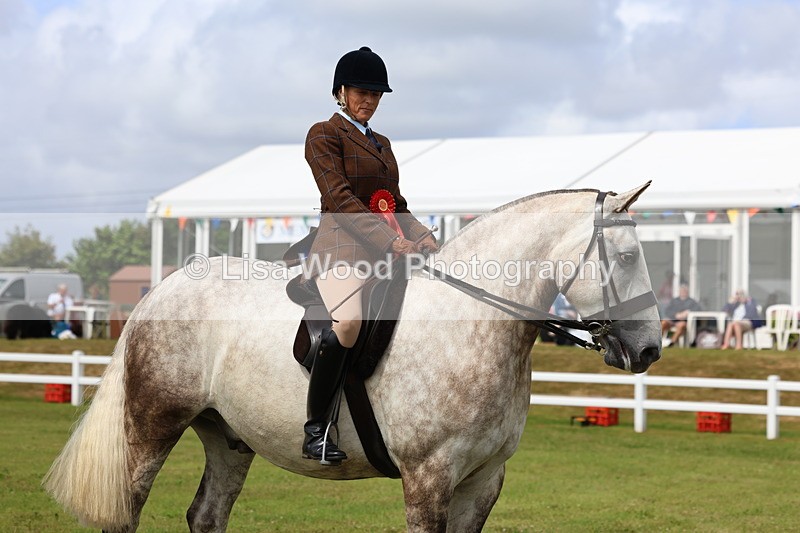 3E7A0423 - Class 6: Rising Star Maxi Cobs