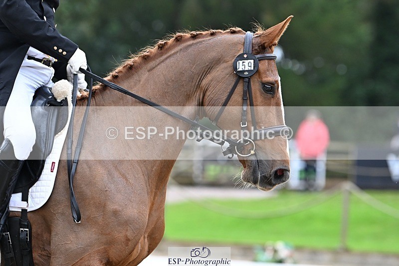 231019-145931-04335 - 059-MINNIE.MANOEUVREZ-Mark.Ford-DR