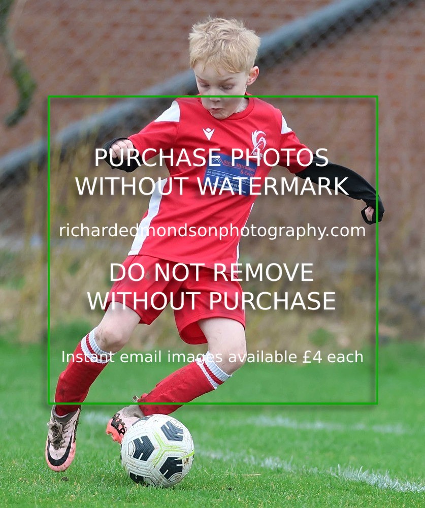 533A1219 - Ibis Under 7's (28/2/26)