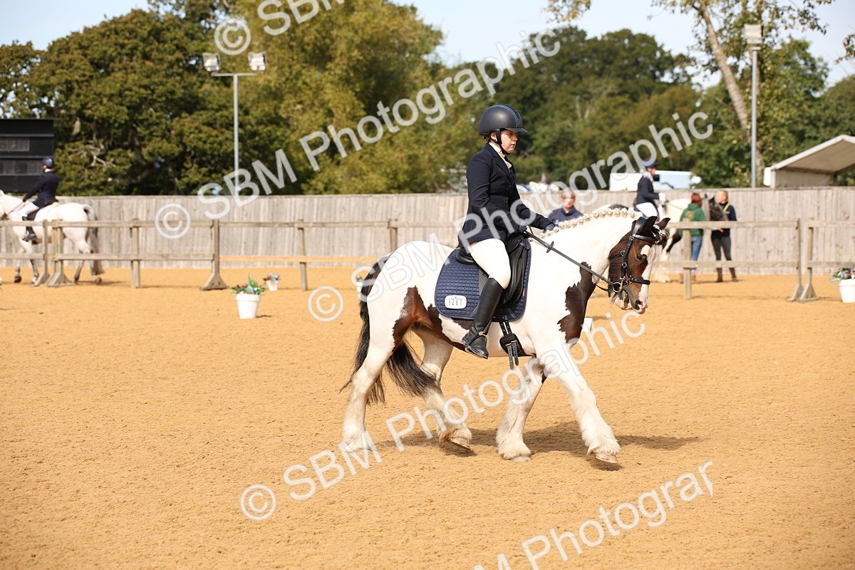 SBM_21778 - D5 - Small Tour Championship - Intro C