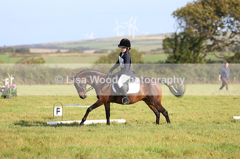 3E7A5971 - Class 1: Trebudannon Open: Dressage (Part 2)