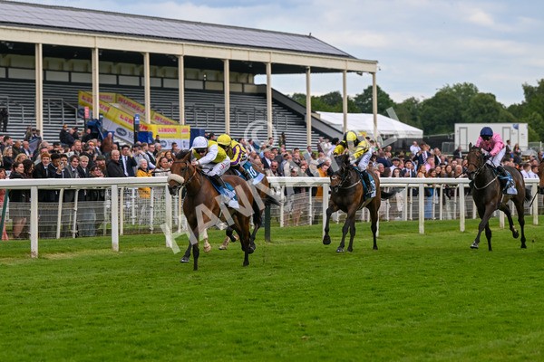 140624-Race 5-Invisible Friend-5217 - Race 6 4.45pm Irish Thoroughbred Marketing Handicap