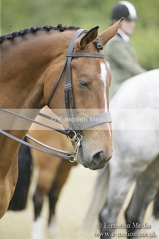 B230619-0954 - Bourne Valley Riding Club Summer Show 23/06/19