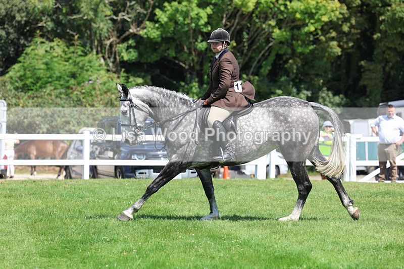 3E7A8970 - Class 6: Open Working Horse