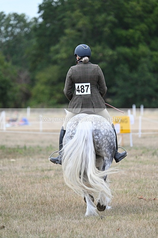 WJ7_4933 - Class 12 Ridden Cob