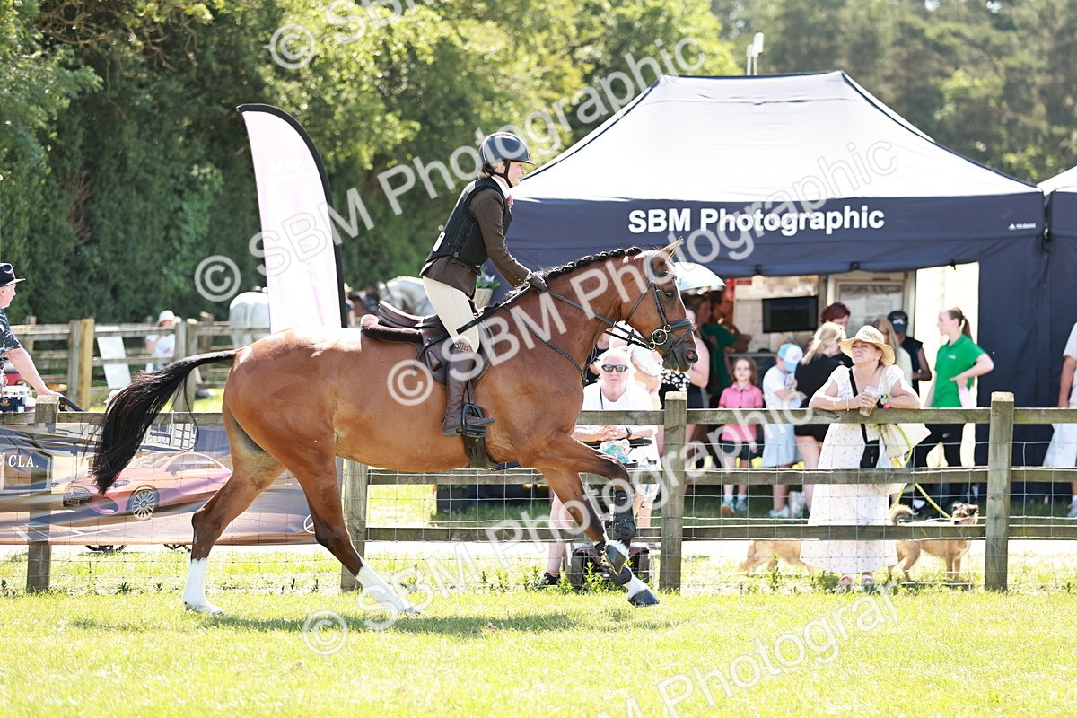 SBM_18336 - Class 112-113 - BSPS LIHS Working Sports Pony