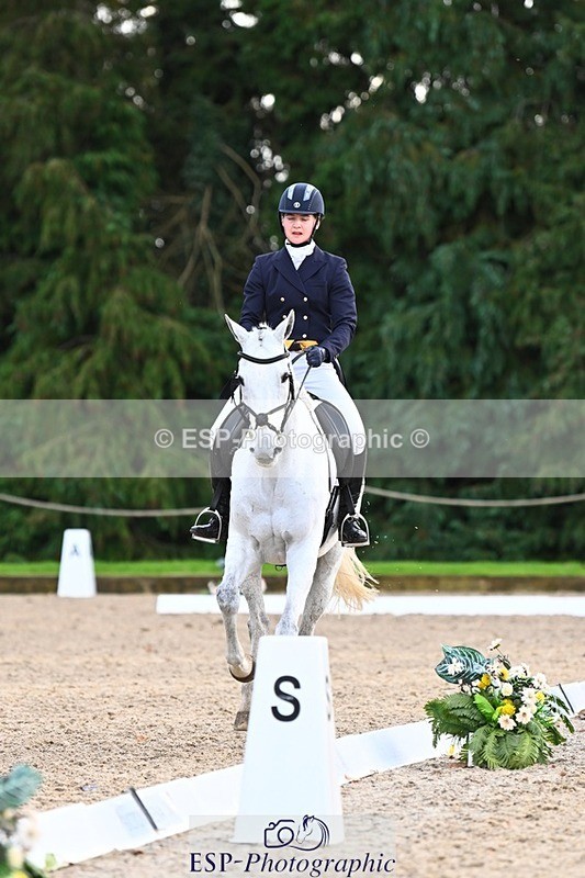 231021-160123-20996 - 262-GOOD.BOY.ALEX-Tara.Jefferies-DR