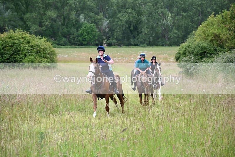 WJ6_8179 - Camera 1 Gallops