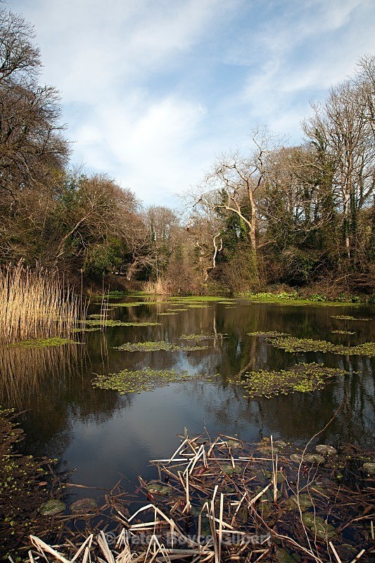The Lost Gardens of Heligan - The Countryside