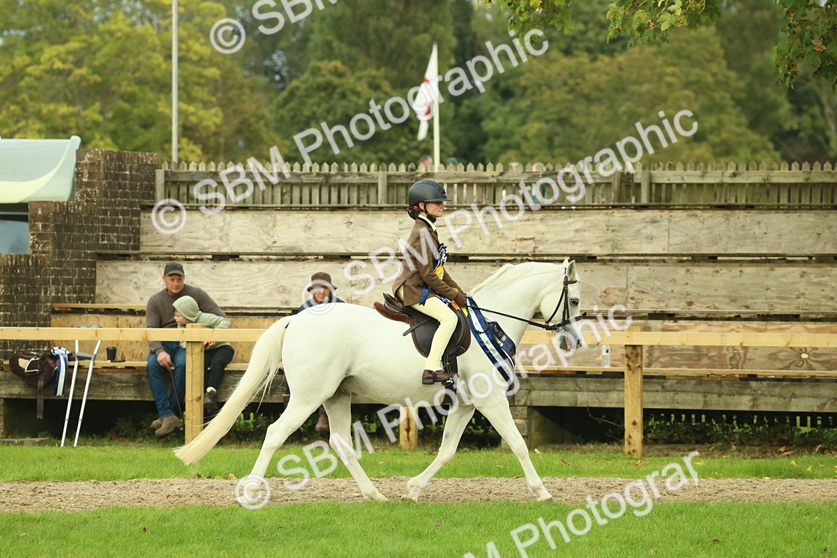 SBM_75243 - Super Supreme Championship