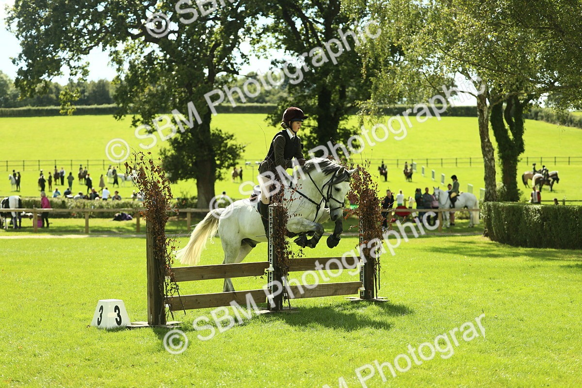 SBM_42948 - S30 - M&M Working hunter Pony
