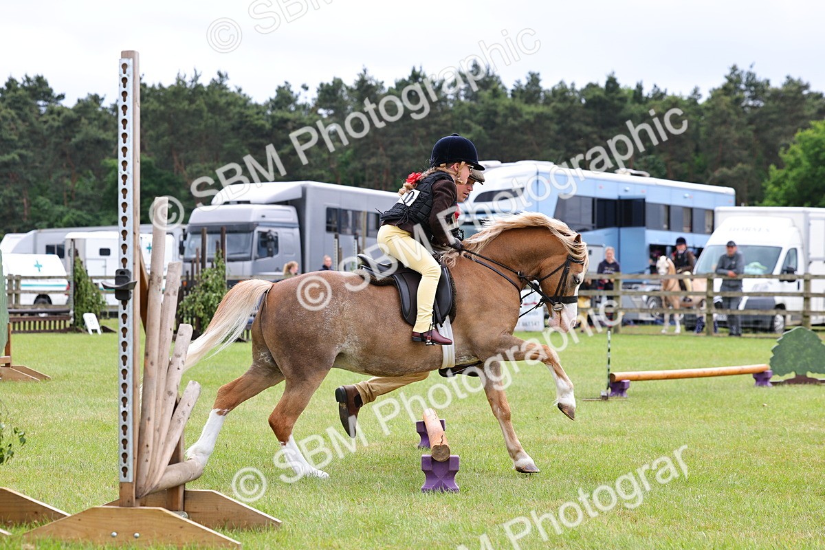 SBM_08181 - Class 42-43 - LIHS BSPS Heritage Working Sports Pony