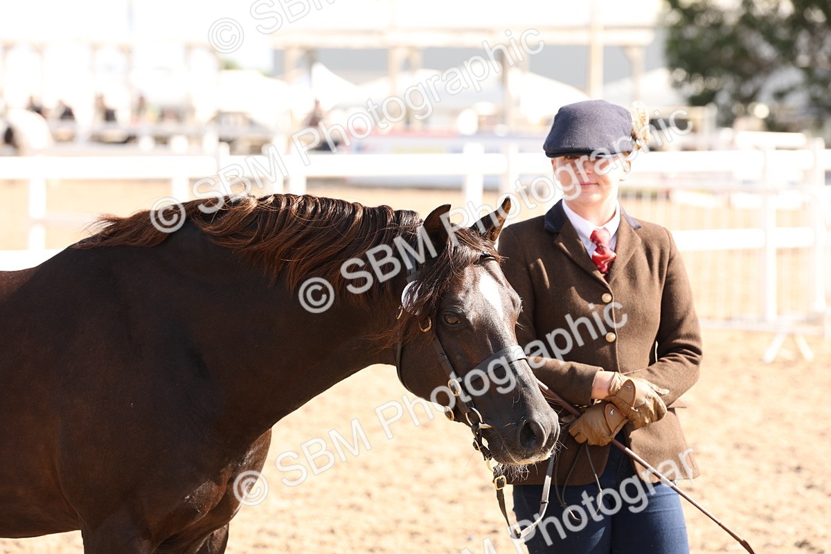 SBM_14116 - Class 207 - IH M&M