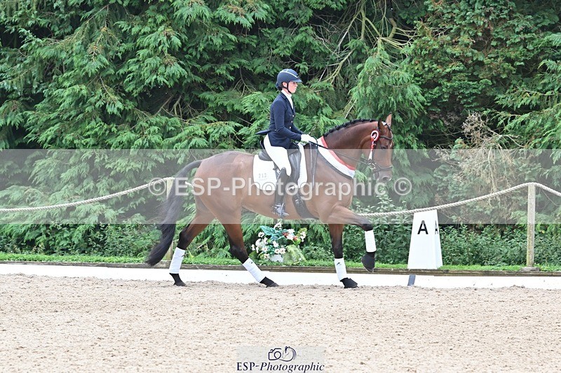 240811-132047-05887 - Adv Medium Silver