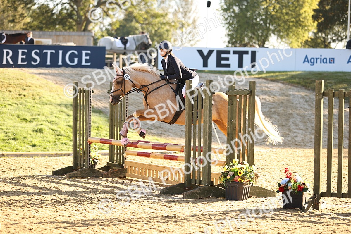 SBM_34597 - J38 - Senior 80cm Championship