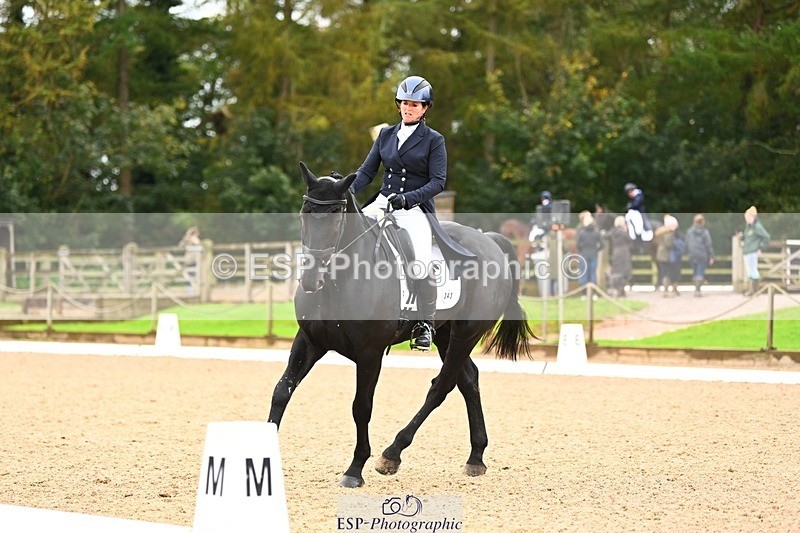 231021-115231-15005 - 343-MIDNIGHT.ROLLERCOASTER-Alison.Lidstone-DR