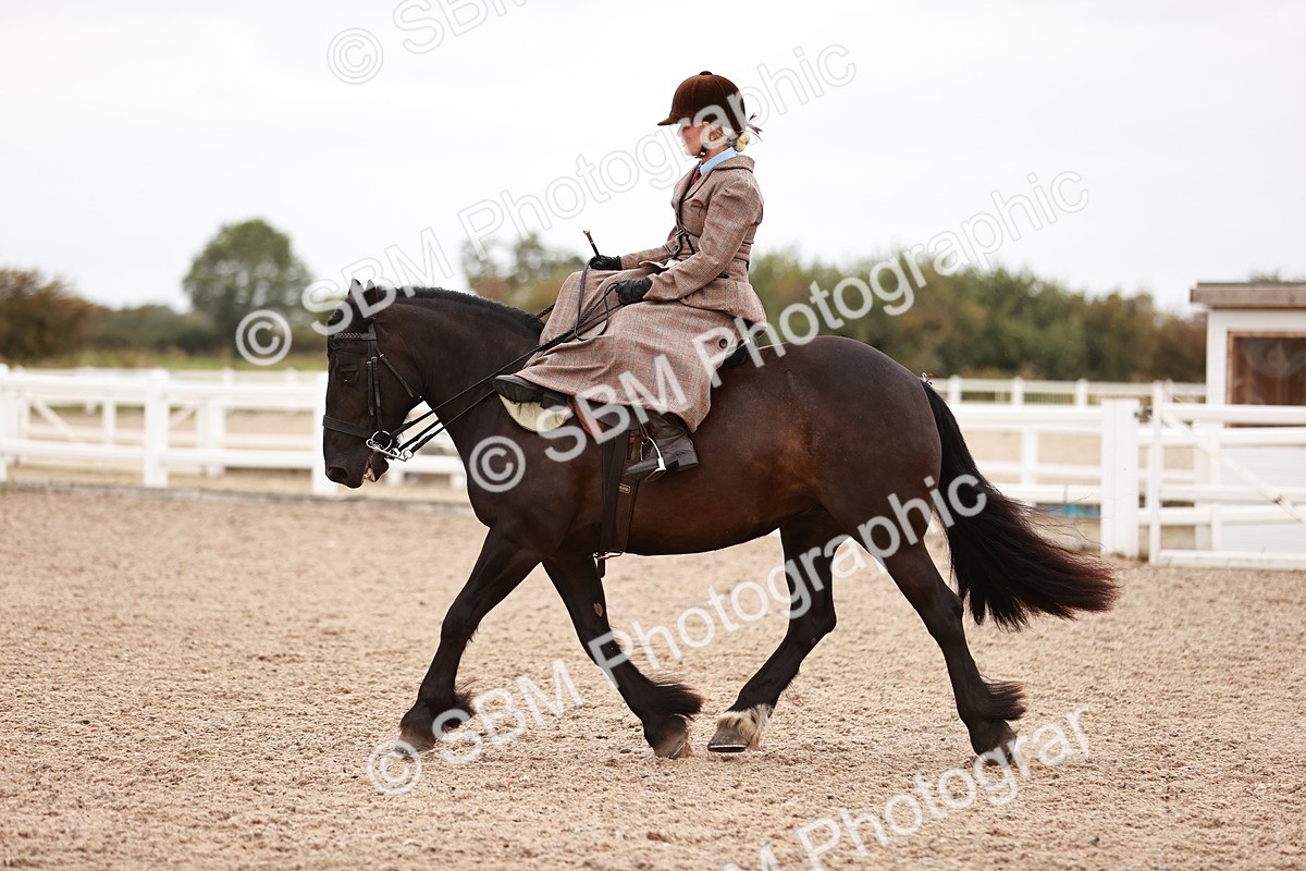 SBM_19047 - Class 422 - Ridden M&M