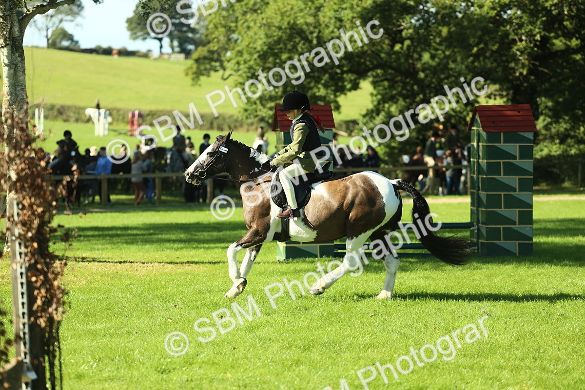 SBM_36531 - S29 - Novice & Newcomers Working Hunter Pony