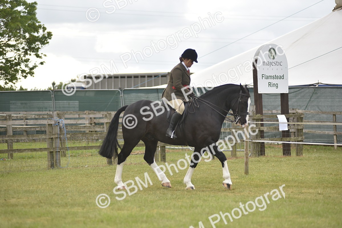 SBM_18239 - Class 122-123 - LIHS BHSA Raising Star Style and Performance Series