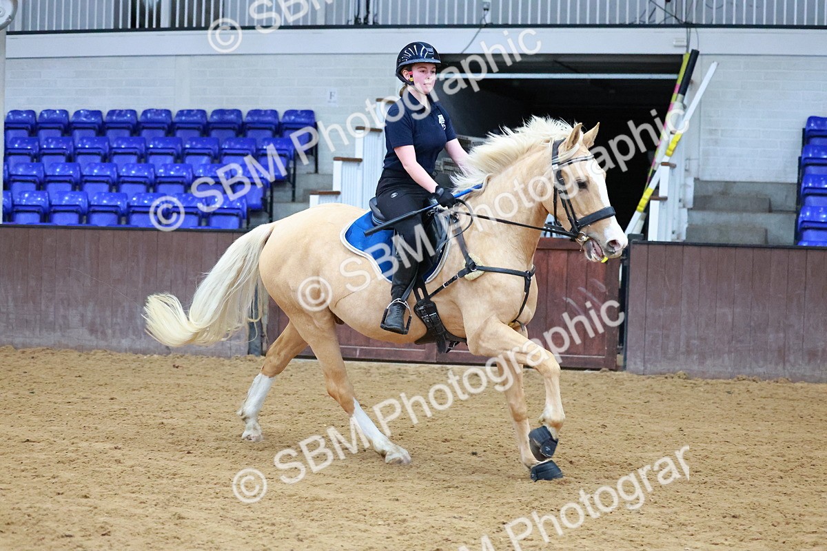 SBM_000116 - Class 1 - 80cm