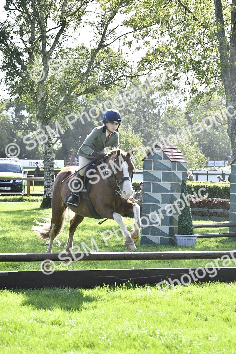 SBM_38212 - S31 - Novice & Newcomer Working Hunter Pony