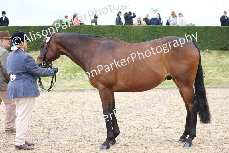 20250524-0768 - Class 7 - Veteran