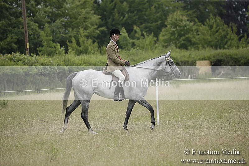 B230619-0916 - Bourne Valley Riding Club Summer Show 23/06/19