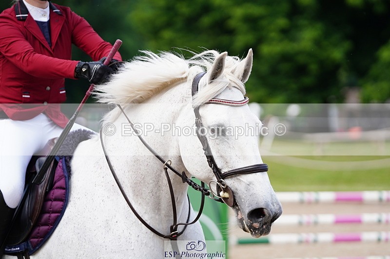 250615A-102210-10098 - Class 43 British Novice 90cm Open