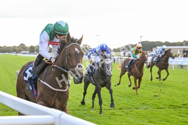 111024-Race 3-Minstrel Knight-1677 - Race 3 2.40pm William Hill Finale Handicap