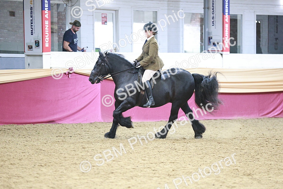 SBM_09037 - Class 12R - Regional Ridden Pre-Vet
