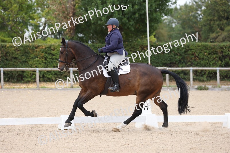 20250820-0580 - Class 14 - Prelim 5