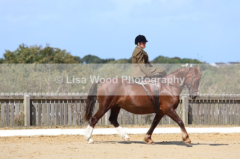 3E7A3557 - Class 7:  Preliminary Music