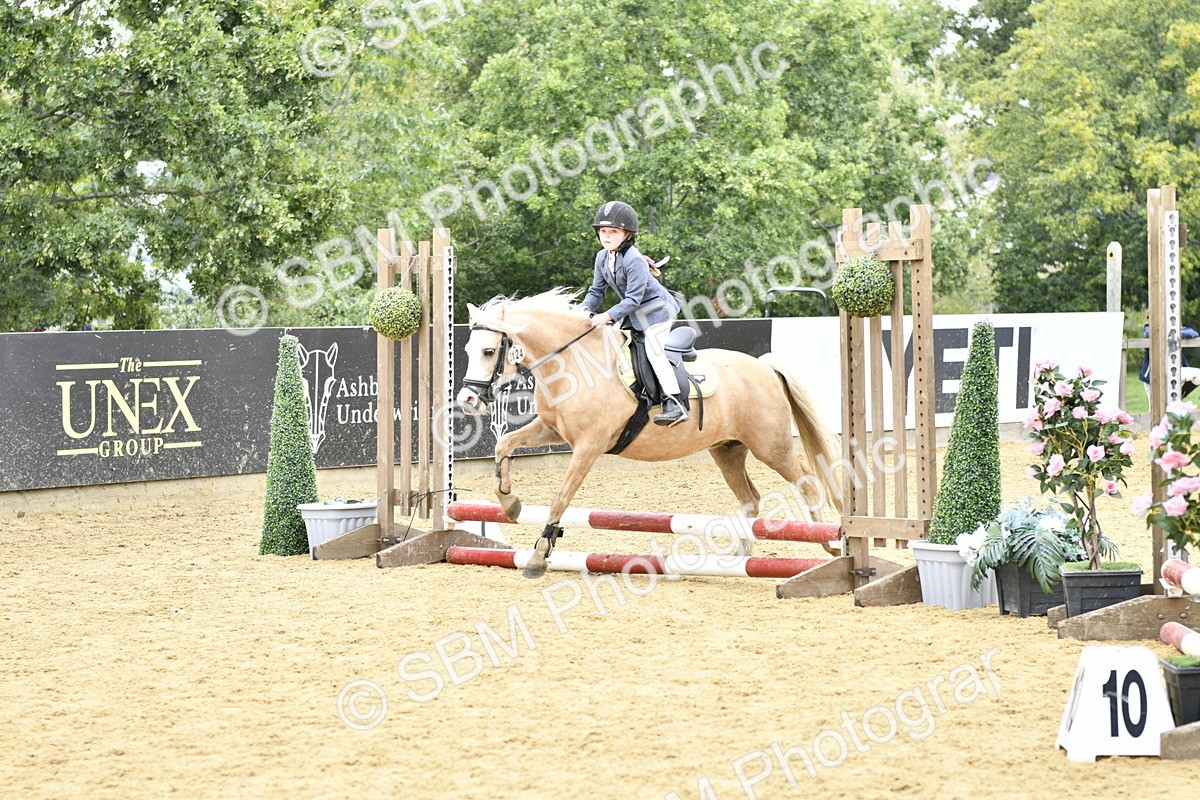 SBM_65391 - J2a mini Tour Junior Pony 30cm Championship