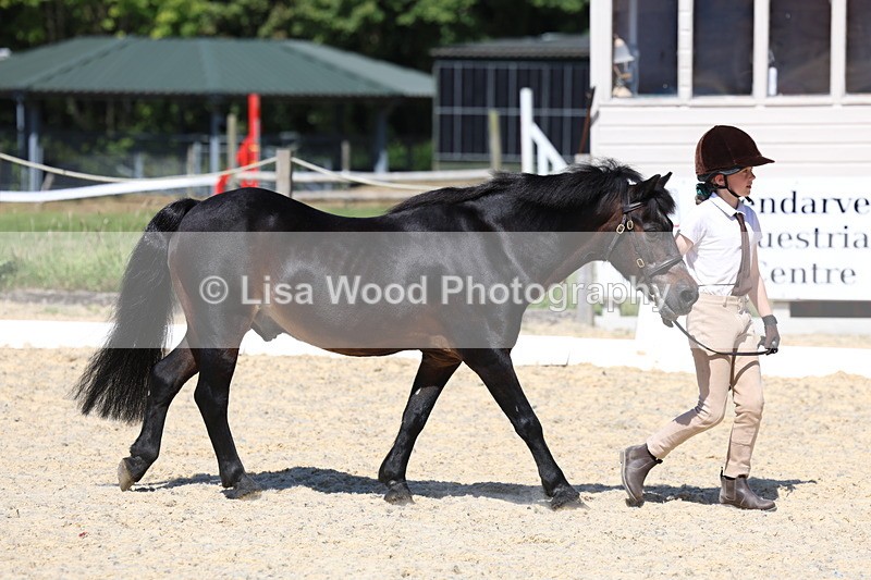 3E7A9376 - Class 29: Veteran In Hand