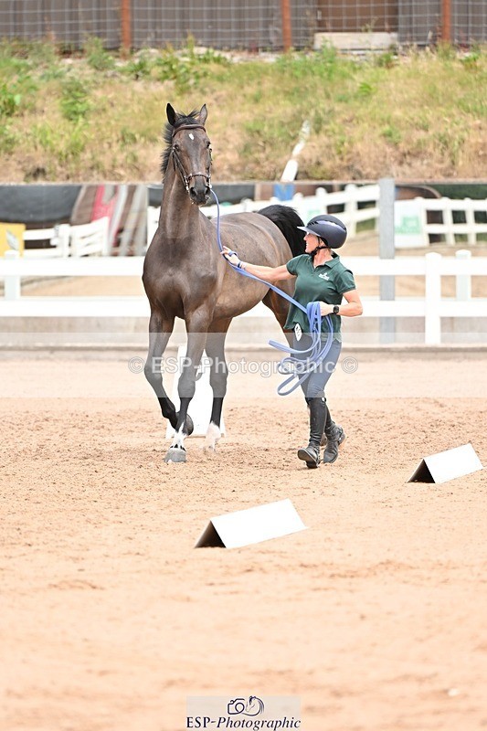 250716-143928-01261 - Trot Up 2.30 to 3.30