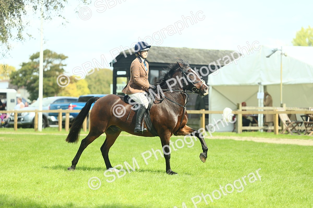 SBM_43001 - S30 - M&M Working hunter Pony