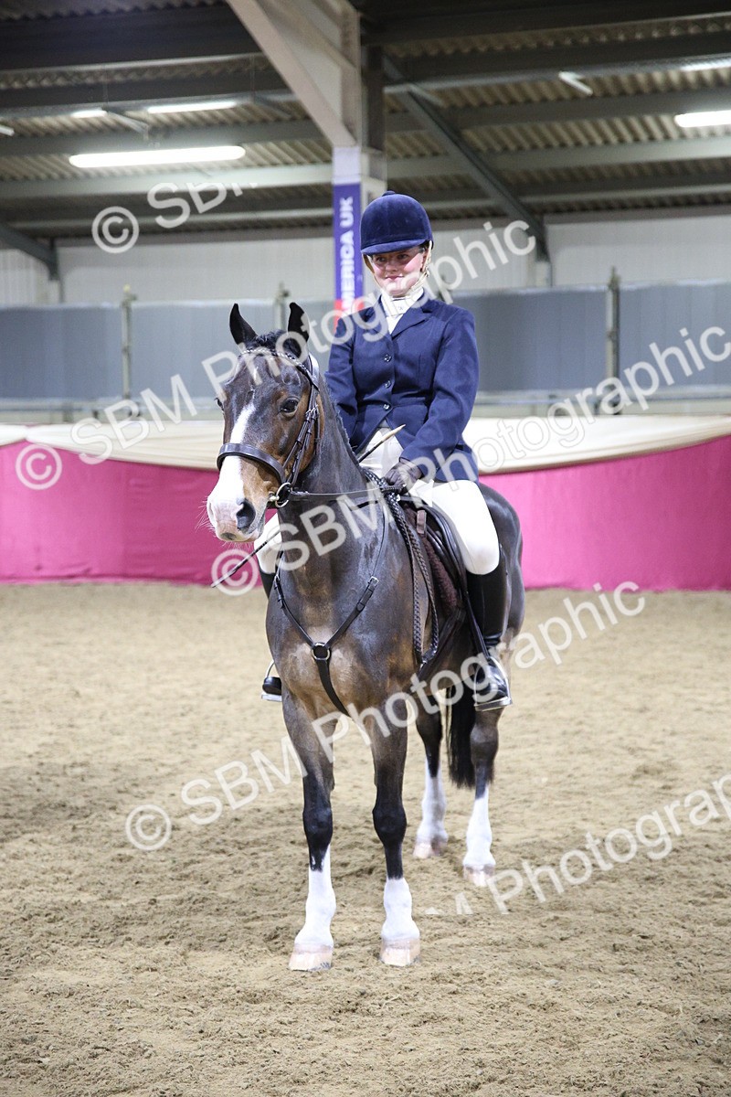 5K7A1613 - Class R Working Veteran Champ