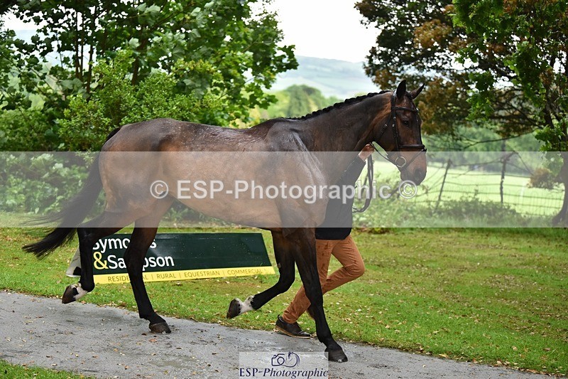 240522-152030-00274 - 323-EMERALD_ENDEAVOUR-Harry_Dzenis