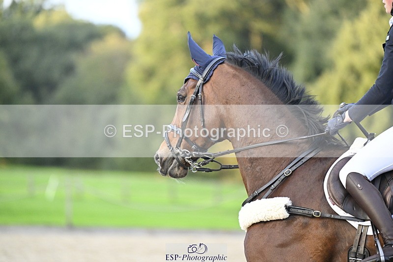 251005A-181134-05623 - Cls 12 Adv 1.10m Ind