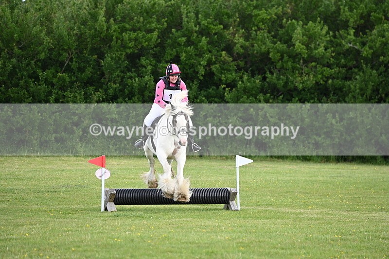 WJ6_2517 - Class 2 40cm