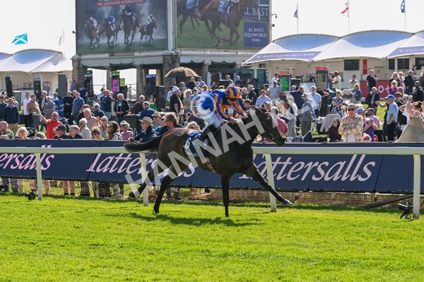 140525-Race 4-Whirl-2436 - Race 4 3.45pm Tattersalls Musidora Stakes