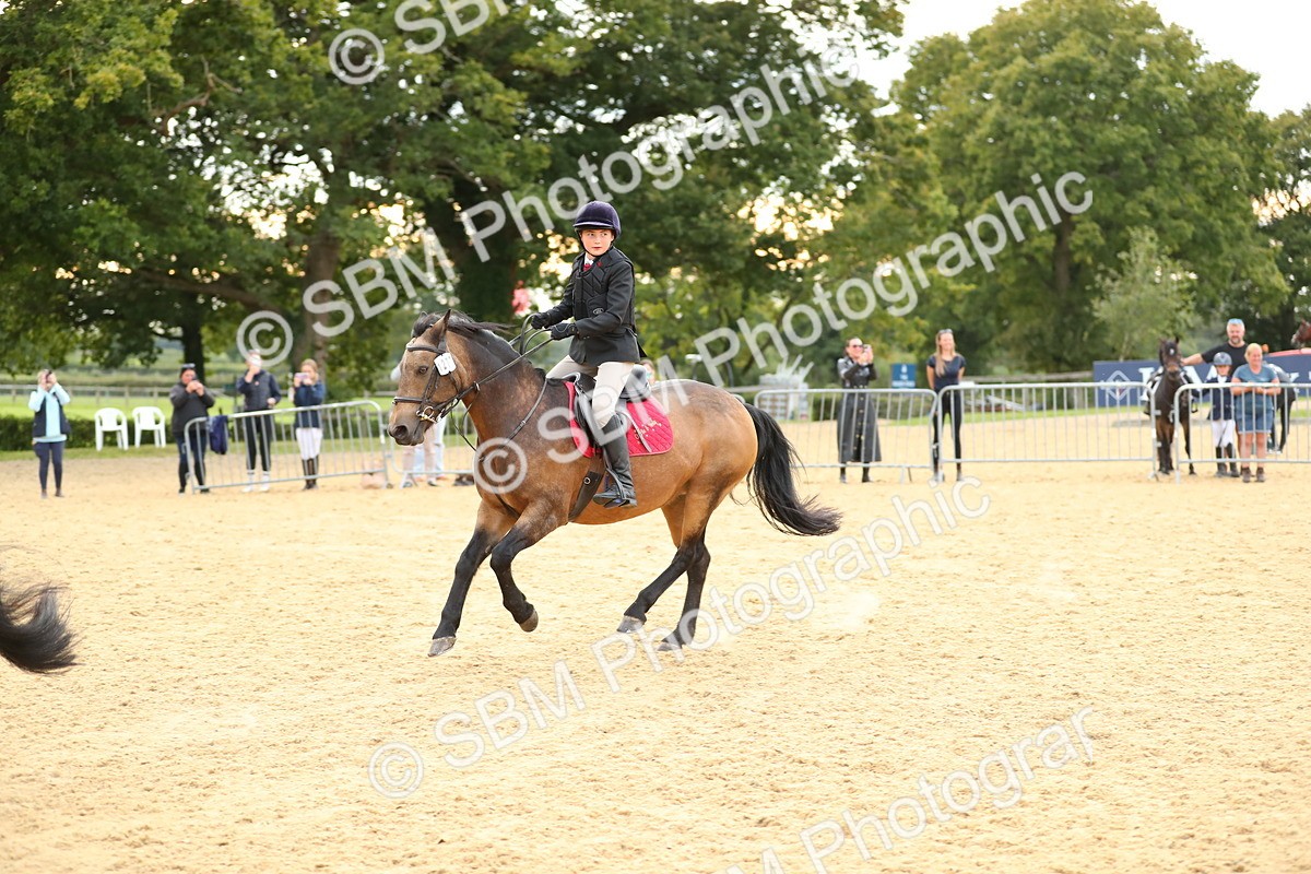 SBM_76242 - J19 - Junior 90cm Supreme Championship