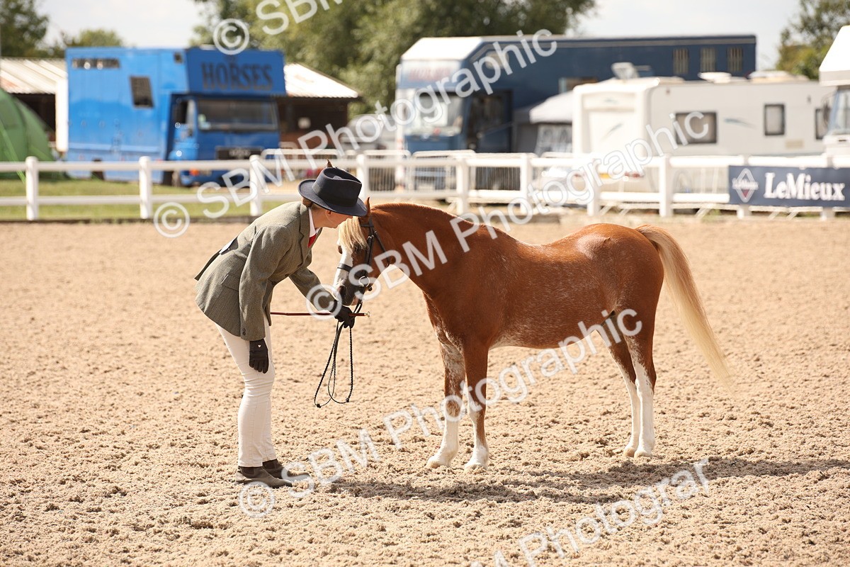 SBM_04609 - Class 20 IH Veteran