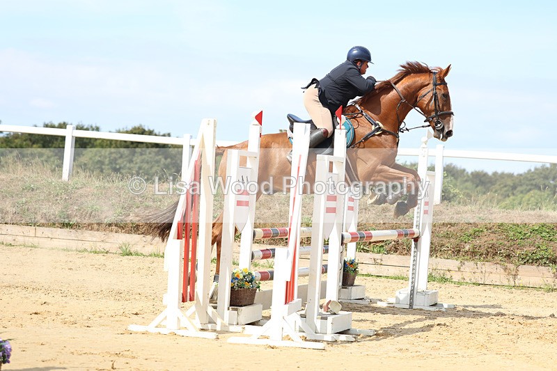 3E7A3540 - Class 4: Senior British Novice/90cm open