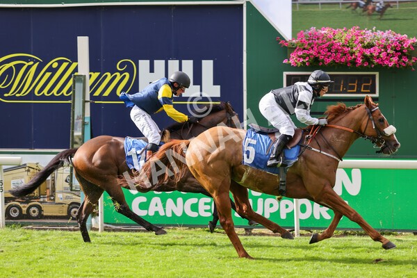 yr24092021r1-127 - Race 1 1.10pm Ernest Cooper Macmillan Ride of Their Lives